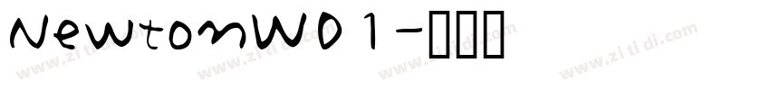 NewtonW01字体转换