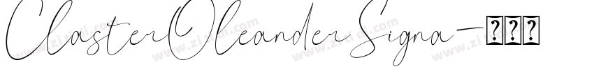 ClasterOleanderSigna字体转换