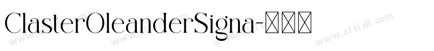 ClasterOleanderSigna字体转换