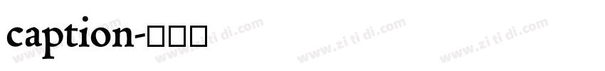 caption字体转换