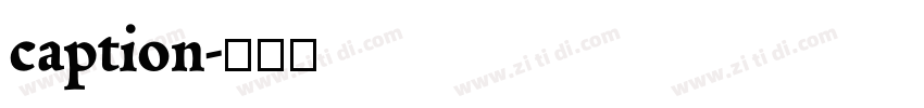 caption字体转换