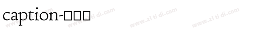 caption字体转换