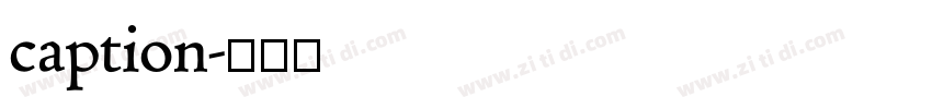 caption字体转换