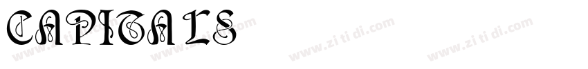 Capitals字体转换