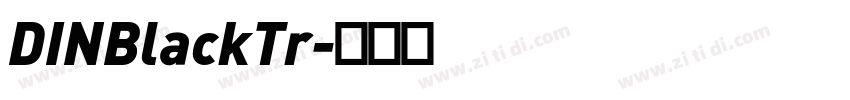 DINBlackTr字体转换