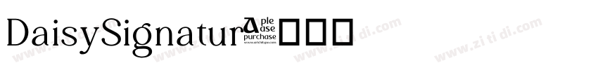 DaisySignatur字体转换