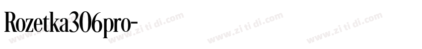 Rozetka306pro字体转换
