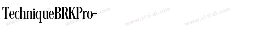 TechniqueBRKPro字体转换