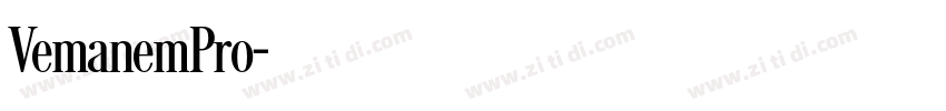 VemanemPro字体转换
