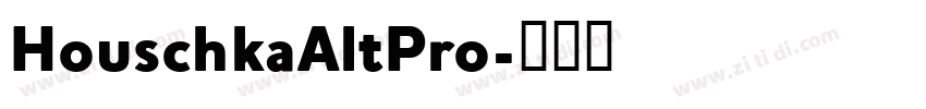 HouschkaAltPro字体转换
