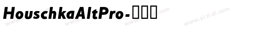 HouschkaAltPro字体转换