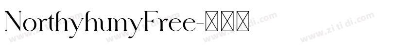 NorthyhunyFree字体转换