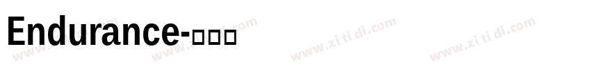 Endurance字体转换
