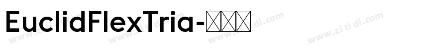 EuclidFlexTria字体转换