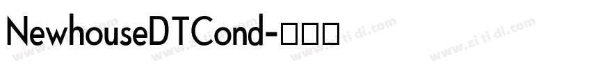 NewhouseDTCond字体转换