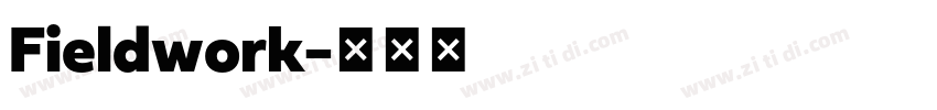 Fieldwork字体转换