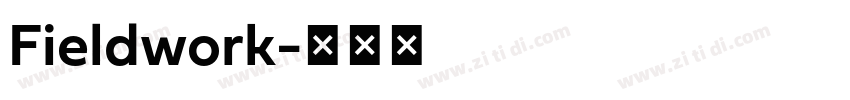 Fieldwork字体转换