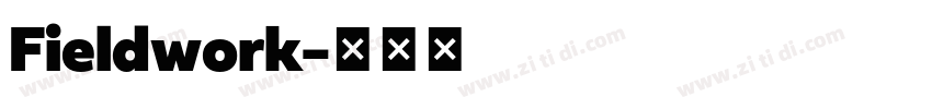 Fieldwork字体转换