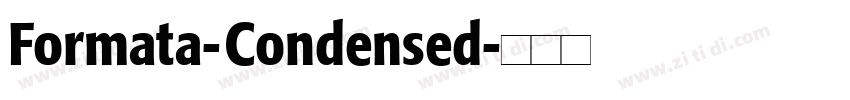 Formata-Condensed字体转换