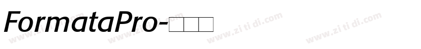 FormataPro字体转换