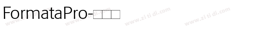 FormataPro字体转换
