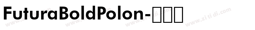 FuturaBoldPolon字体转换