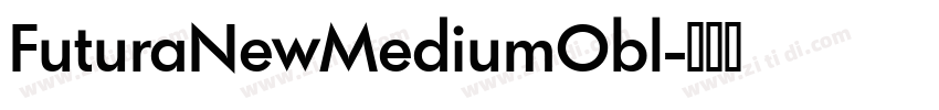 FuturaNewMediumObl字体转换