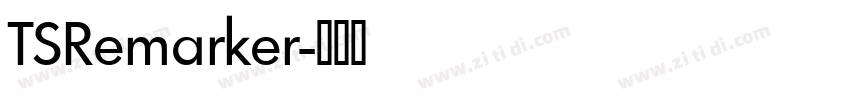 TSRemarker字体转换