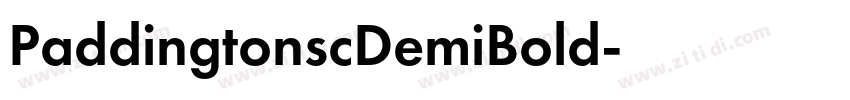 PaddingtonscDemiBold字体转换