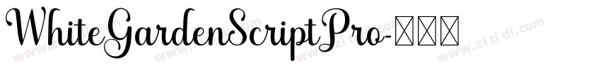 WhiteGardenScriptPro字体转换 WhiteGardenScriptPro字体转换