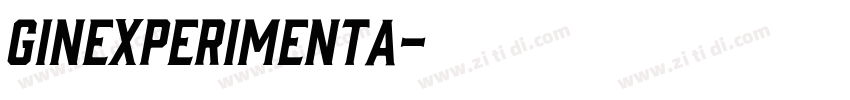 GINExperimenta字体转换
