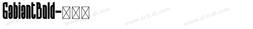 GabiantBold字体转换