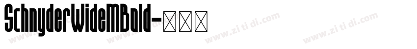 SchnyderWideMBold字体转换