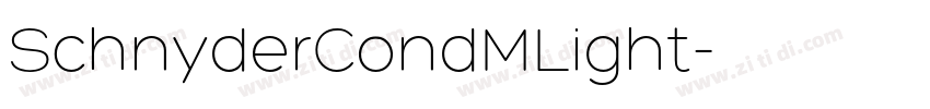 SchnyderCondMLight字体转换