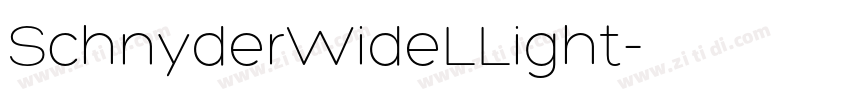 SchnyderWideLLight字体转换