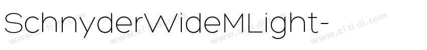 SchnyderWideMLight字体转换