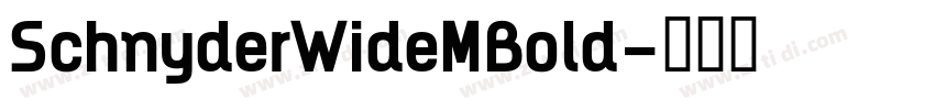 SchnyderWideMBold字体转换