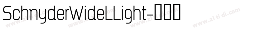 SchnyderWideLLight字体转换