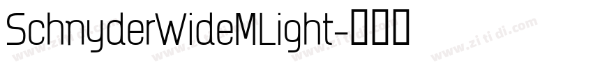 SchnyderWideMLight字体转换