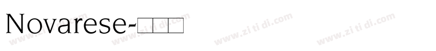 Novarese字体转换