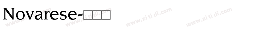Novarese字体转换