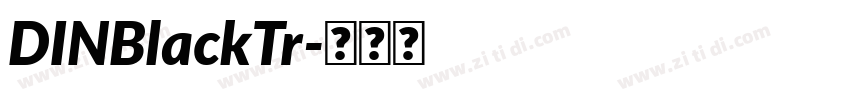 DINBlackTr字体转换