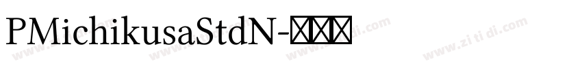 PMichikusaStdN字体转换