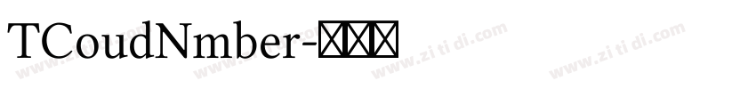 TCoudNmber字体转换
