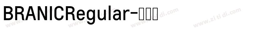 BRANICRegular字体转换