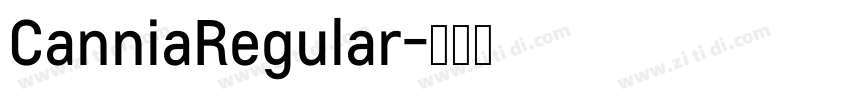 CanniaRegular字体转换