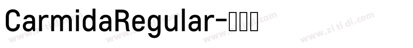 CarmidaRegular字体转换