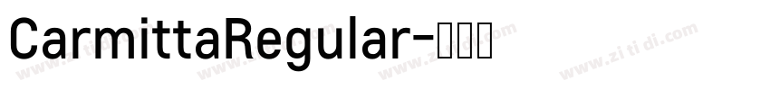 CarmittaRegular字体转换