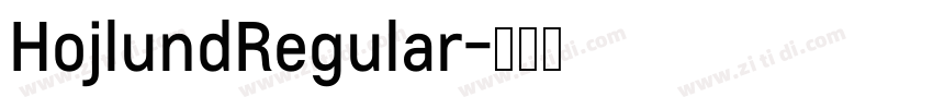 HojlundRegular字体转换