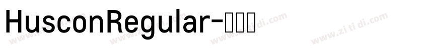 HusconRegular字体转换